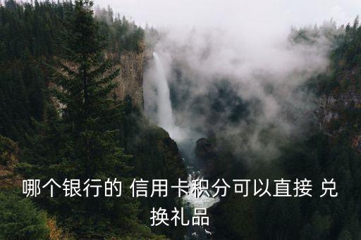 哪个银行的 信用卡积分可以直接 兑换礼品