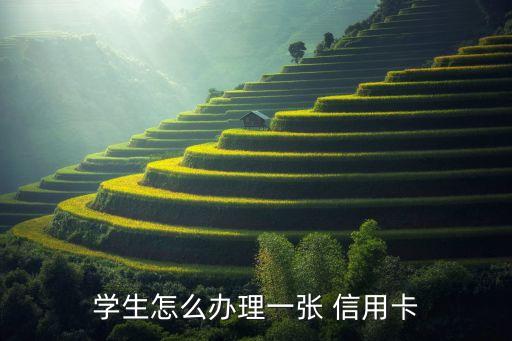 在读大学生如何申请信用卡,大学生申请信用卡单位信息怎么填