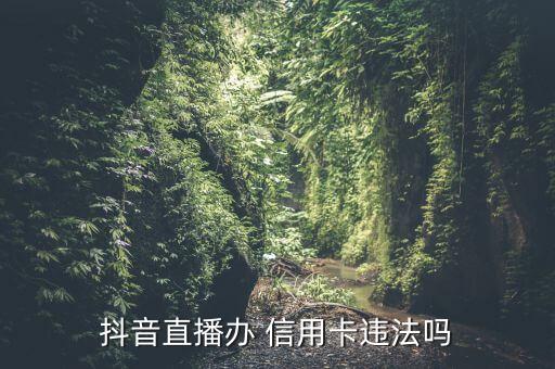 当主播怎么申请办理信用卡,主播可以办理信用卡吗
