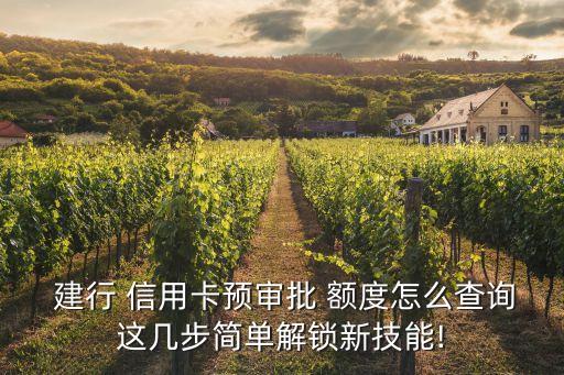 怎样看建行信用卡预额度,取消建行信用卡怎样取消啊?