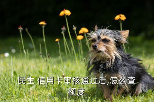  民生 信用卡审核通过后,怎么查 额度