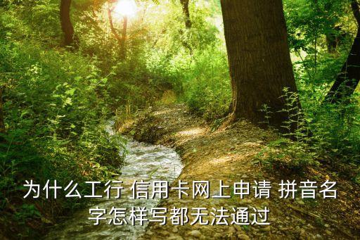 为什么工行 信用卡网上申请 拼音名字怎样写都无法通过