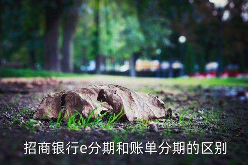 招商信用卡怎么才有e分期付款,怎么查招商信用卡分期付款还剩多少期