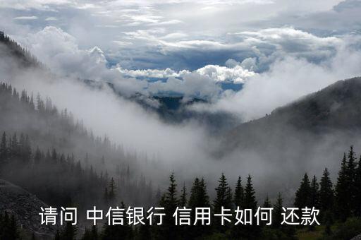 请问 中信银行 信用卡如何 还款