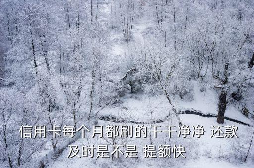  信用卡每个月都刷的干干净净 还款及时是不是 提额快