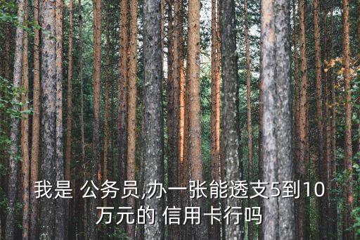 我是 公务员,办一张能透支5到10万元的 信用卡行吗