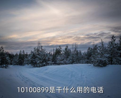 10100899是干什么用的电话