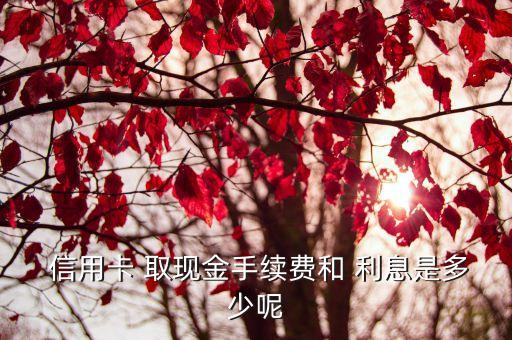  信用卡 取现金手续费和 利息是多少呢