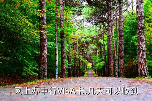 在线申请visa信用卡要多久,工商银行visa信用卡在线申请