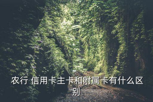  农行 信用卡主卡和附属卡有什么区别