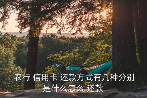  农行 信用卡 还款方式有几种分别是什么怎么 还款