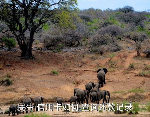 洛阳民生银行信用卡明细查询,民生银行交易明细查询多长时间的