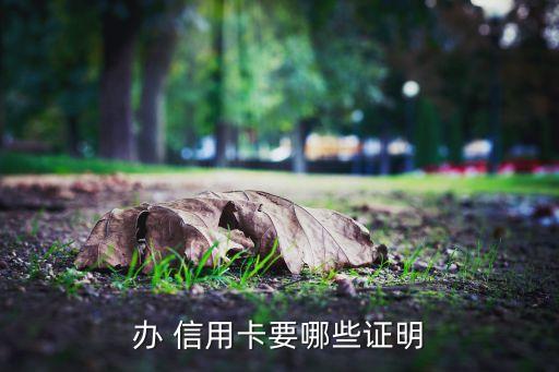办 信用卡要哪些证明