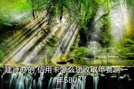 建行办的 信用卡怎么还收取年费啊一年580
