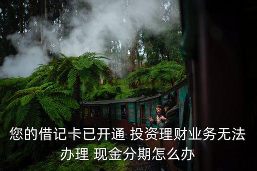 您的借记卡已开通 投资理财业务无法办理 现金分期怎么办