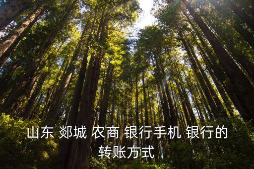 山东 郯城 农商 银行手机 银行的转账方式