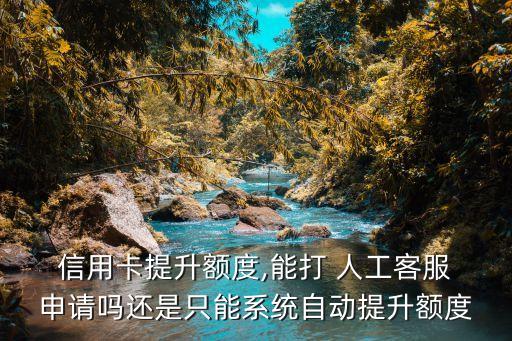  信用卡提升额度,能打 人工客服 申请吗还是只能系统自动提升额度