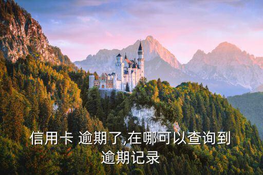  信用卡 逾期了,在哪可以查询到 逾期记录