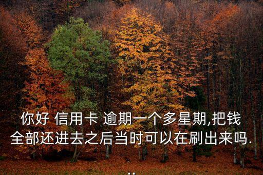 你好 信用卡 逾期一个多星期,把钱全部还进去之后当时可以在刷出来吗...