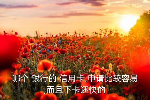 哪个 银行的 信用卡,申请比较容易,而且下卡还快的