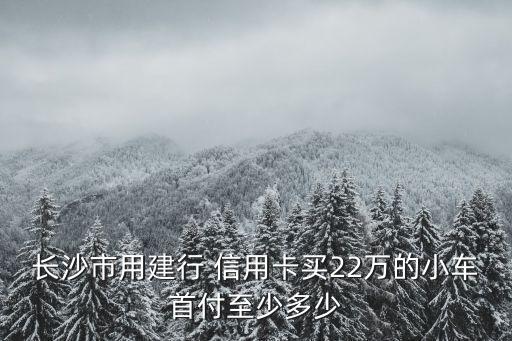信用卡22万额度