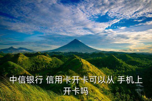 哪个信用卡能在手机上申请,哪个银行的信用卡可以手机激活