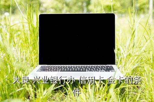 大良 兴业银行办 信用卡 金卡的条件