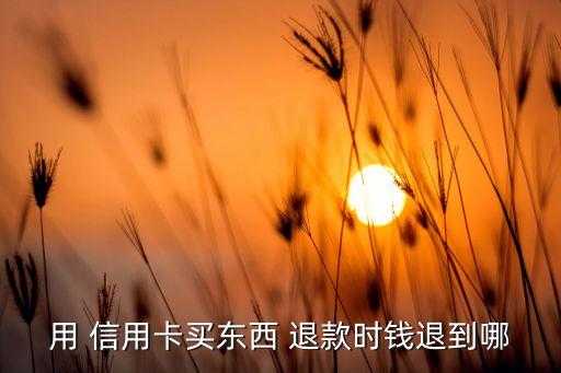 大连银行信用卡怎么退款,青岛银行信用卡退款后余额没变