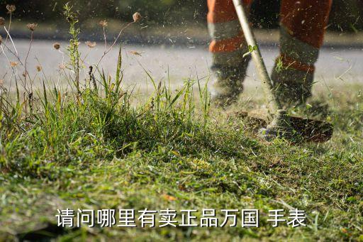 请问哪里有卖正品万国 手表