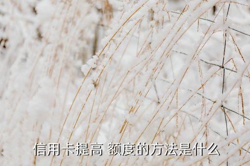  信用卡提高 额度的方法是什么