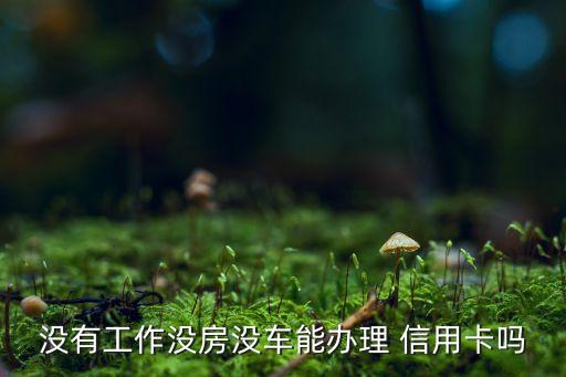 没有工作没房没车能办理 信用卡吗
