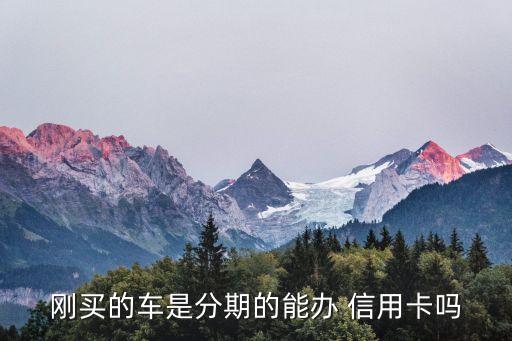 刚买的车是分期的能办 信用卡吗