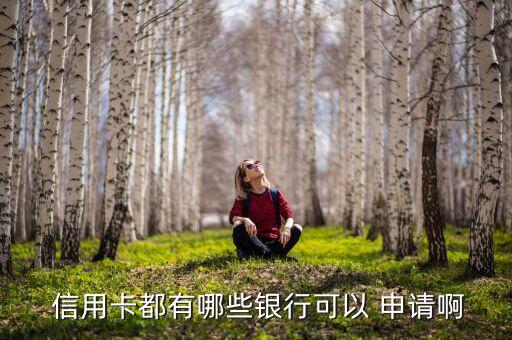  信用卡都有哪些银行可以 申请啊