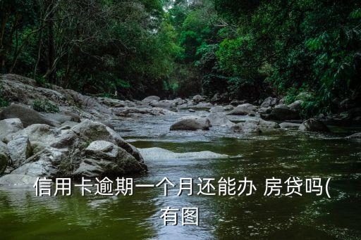  信用卡逾期一个月还能办 房贷吗(有图