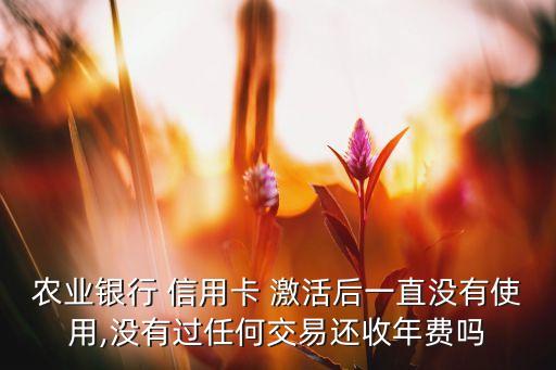 农业银行 信用卡 激活后一直没有使用,没有过任何交易还收年费吗