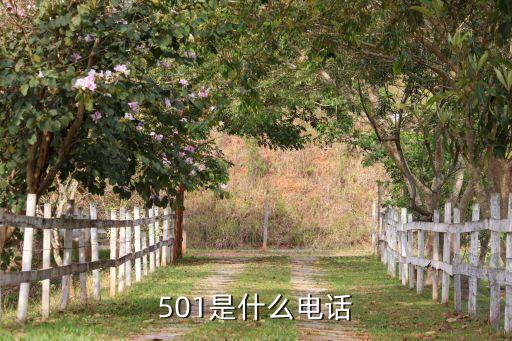 501是什么电话