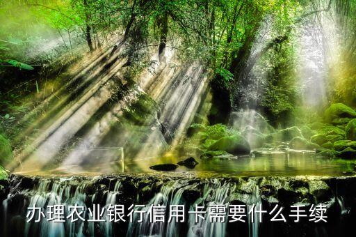 办理农业银行信用卡需要什么手续