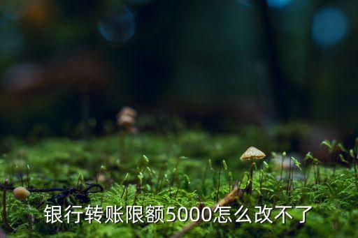 银行转账限额5000怎么改不了