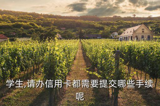 学生,请办信用卡都需要提交哪些手续呢
