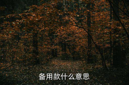 备用款什么意思