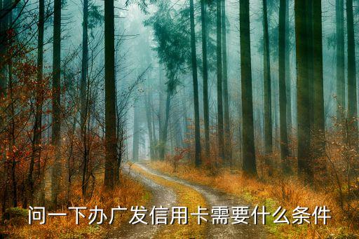 问一下办广发信用卡需要什么条件
