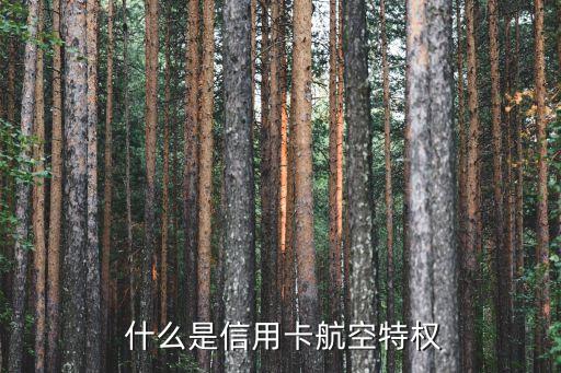 什么是信用卡航空特权
