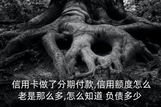  信用卡做了分期付款,信用额度怎么老是那么多,怎么知道 负债多少