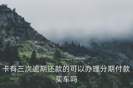 卡有三次逾期还款的可以办理分期付款买车吗