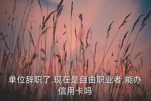 单位辞职了,现在是自由职业者,能办信用卡吗