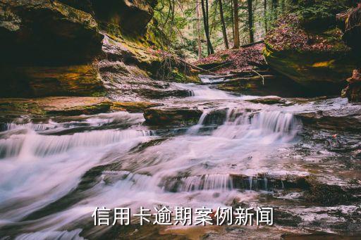 信用卡逾期案例新闻