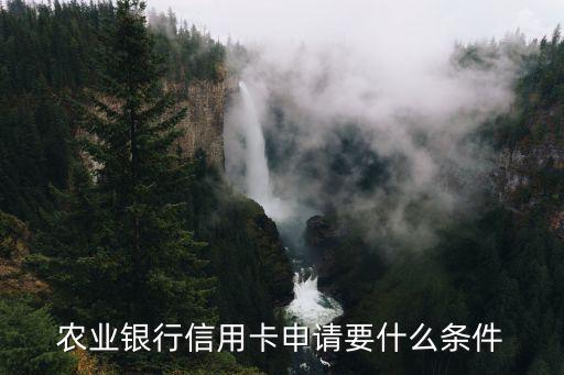 农业银行信用卡申请要什么条件