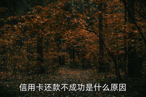 信用卡还款不成功是什么原因
