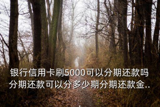 银行信用卡刷5000可以分期还款吗分期还款可以分多少期分期还款金...