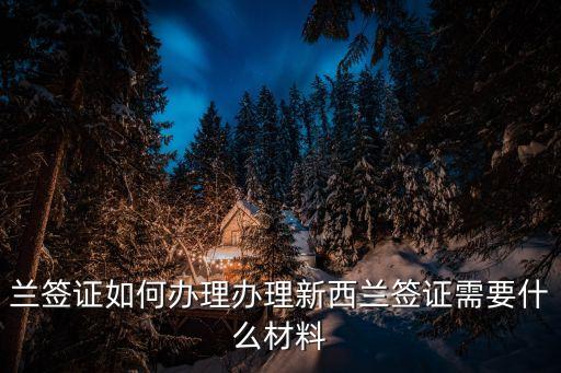 新西兰公司信用卡申请,新西兰签证白金信用卡申请